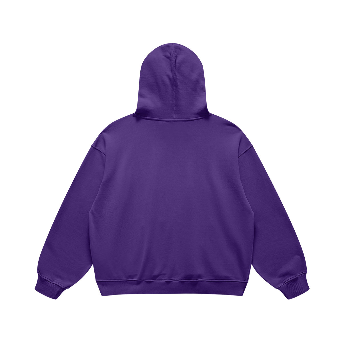 AMERICA HOODIE