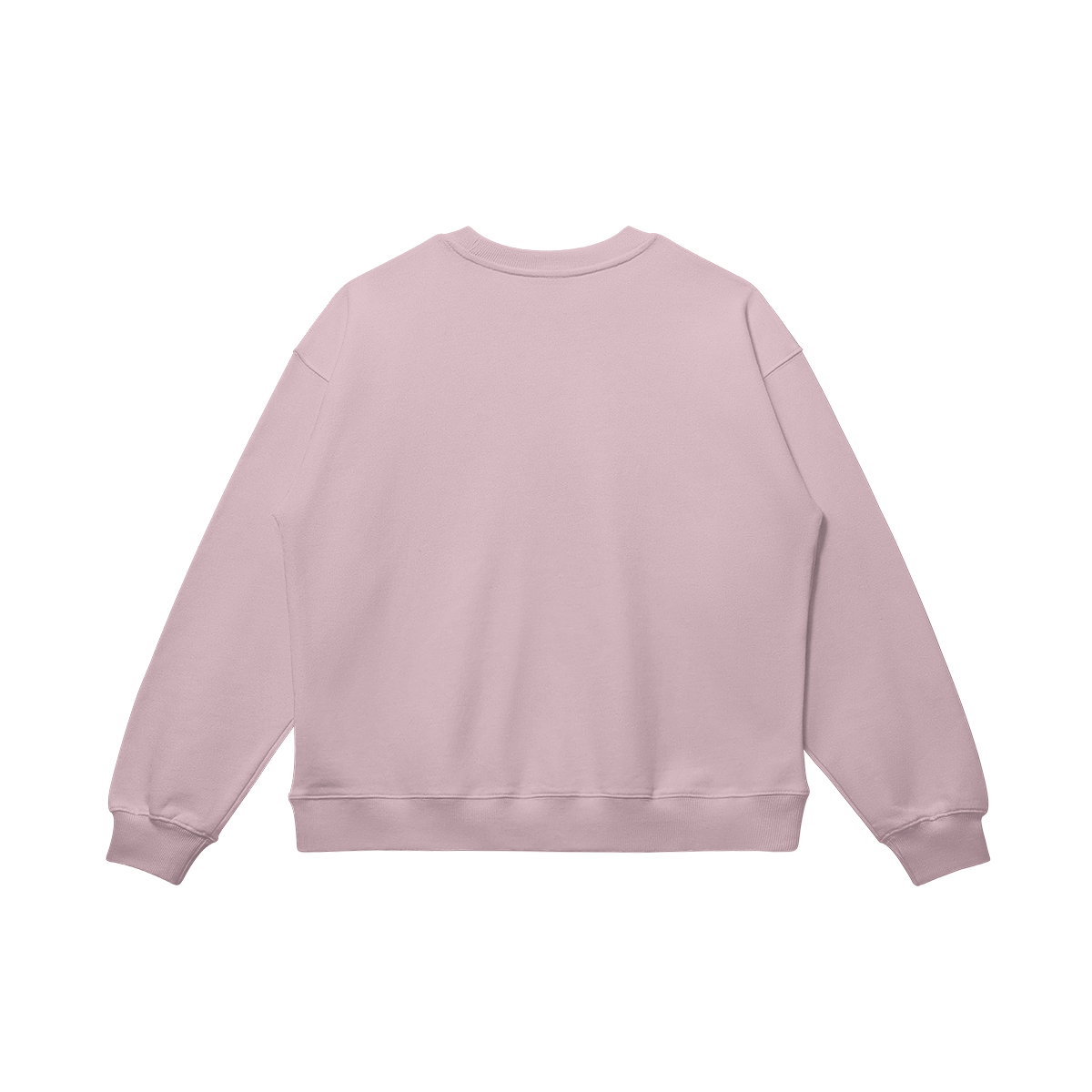 AMERICA SWEATSHIRT