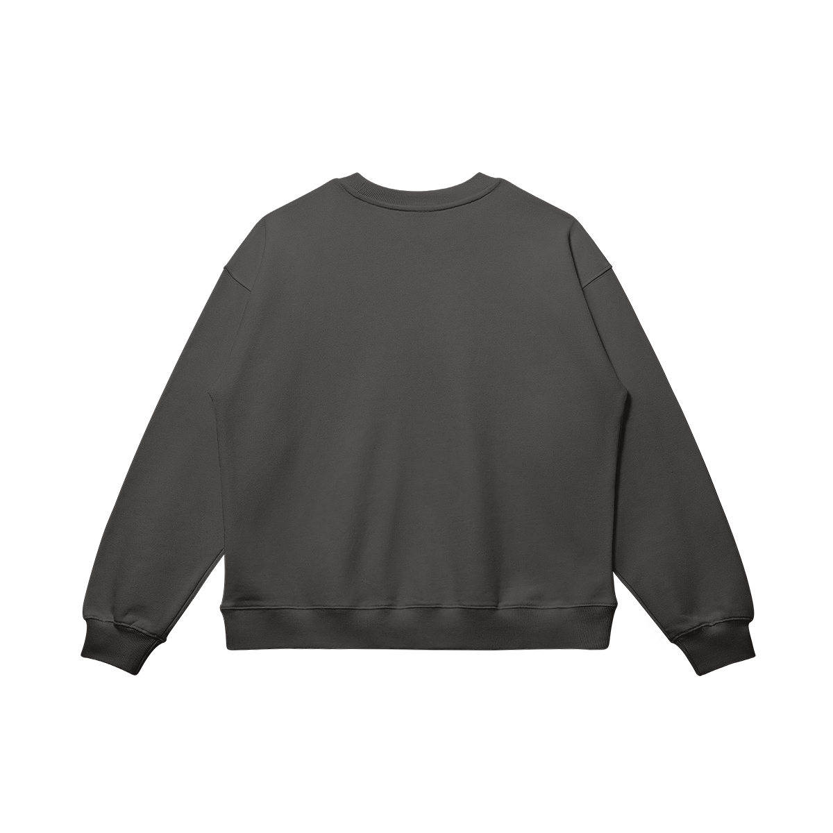 AMERICA SWEATSHIRT