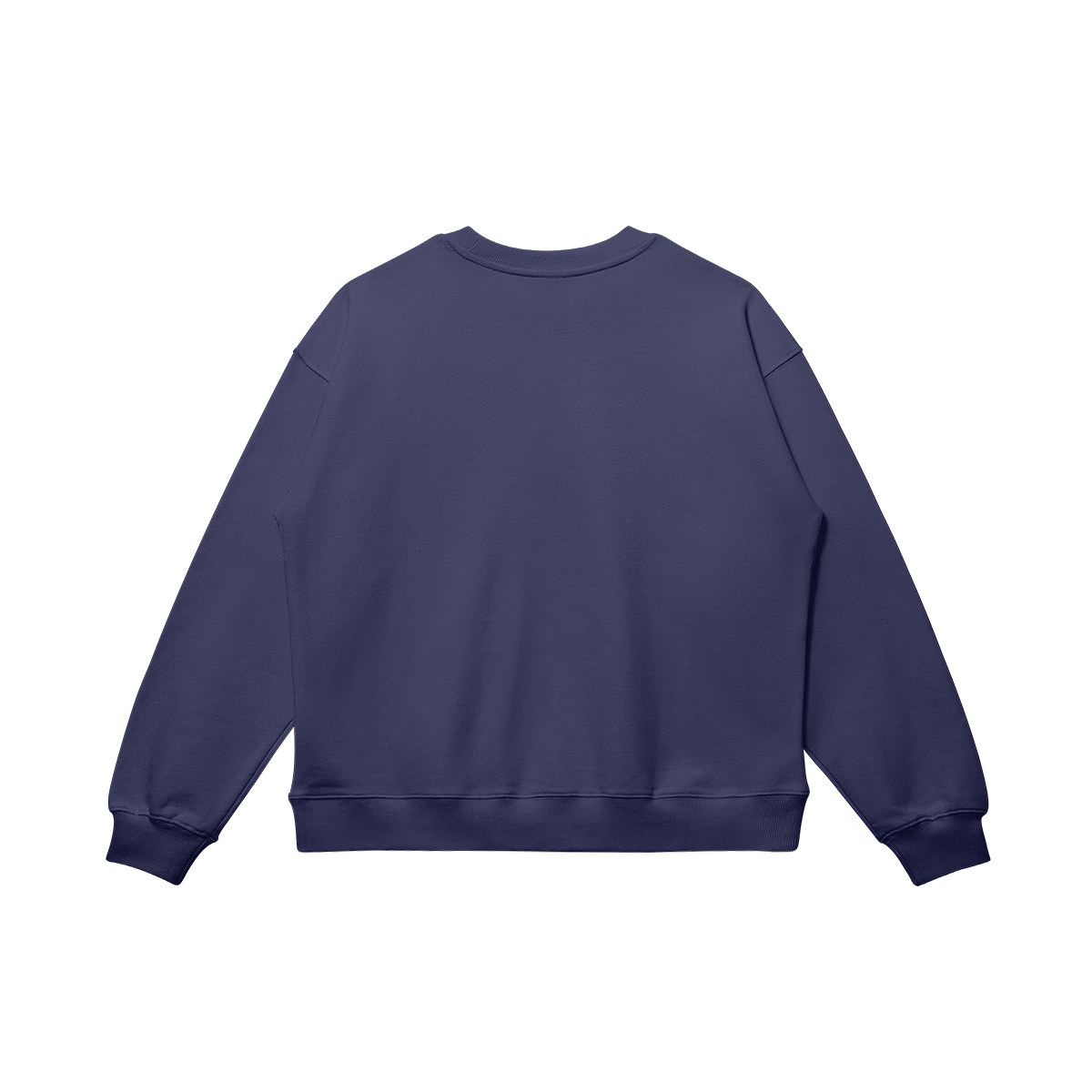AMERICA SWEATSHIRT